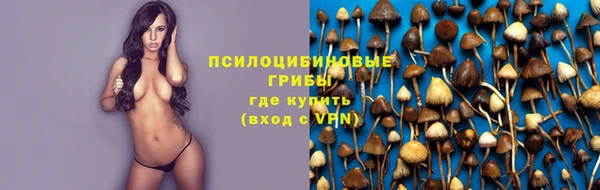 винт Белоозёрский