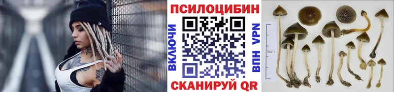 Галлюциногенные грибы GOLDEN TEACHER  Купить где  Кунгур 